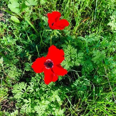 Profile Picture of Mark (@markminkin2) on Twitter