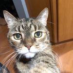 Profile Picture of Bryan Jaworski (@electric58) on Instagram