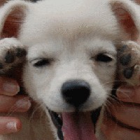 Paige Humphrey - Quora Profile Picture of Paige Humphrey (@paige-humphrey-9) on Quora