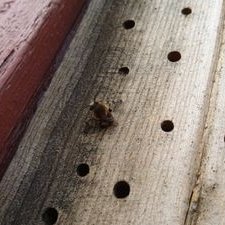 Profile Picture of TimLi (@TimLi97952887) on Twitter