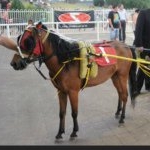 Profile Picture of Josh Gallagher (@joshpgallagher) on Instagram