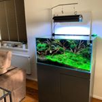 Profile Picture of Roman Zubek (@sprinter_aquascape_cz) on Instagram