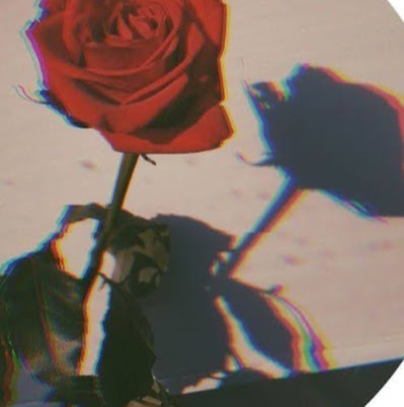 Profile Picture of Ikram Ali (@ali230178) on Poshmark