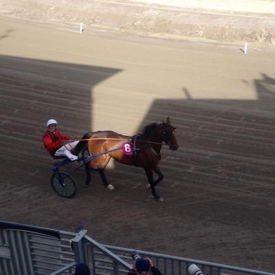 Profile Picture of Mike Izzo (@izzomik) on Twitter