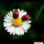 Profile Picture of Selin Ceylan (@Selin-Ceylan) on Facebook