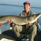 Profile Picture of Gregg Schroeder (@greggschroeder2074) on Youtube