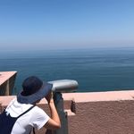 Profile Picture of Bianca Fong Fong (@fongbiancafong) on Instagram