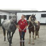 Profile Picture of Lisa-Marie Reitmeier (@lisas_horselife) on Instagram