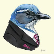 Profile Picture of Corey Maier (@coreymaier4715) on Youtube