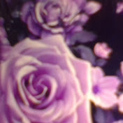 Profile Picture of Shelby Alvarez (@shelbyalvarez6137) on Youtube