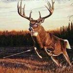 Profile Picture of Sam Shull (@bearhunter585) on Instagram