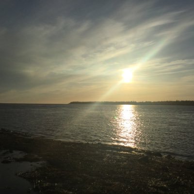 Profile Picture of Alexis Beauregard (@Alex_Beaure) on Twitter