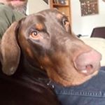 Profile Picture of Mark Oiler (@markoiler) on Instagram