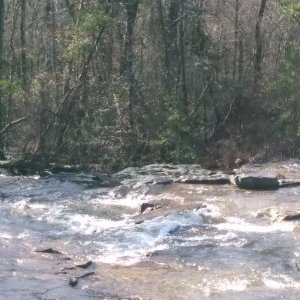 Judd Jones - Twitter Profile Picture of Judd Jones (@JuddJones4) on Twitter