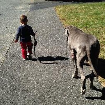 Profile Picture of David Fioretti (@david_fioretti) on Twitter