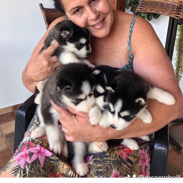 Profile Picture of Rosacorbelli (@rosacorbelli) on Tiktok