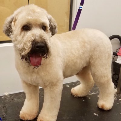 Profile Picture of Taylor Hafner (@TmhafnerTaylor) on Twitter