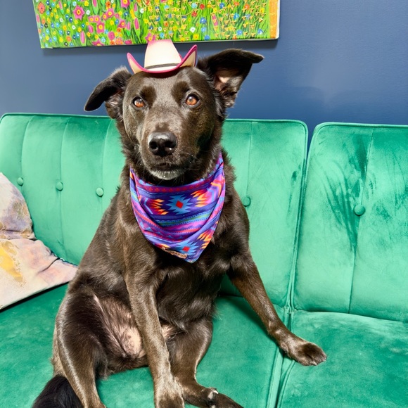 Profile Picture of Mario Vasquez (@mrvd) on Poshmark