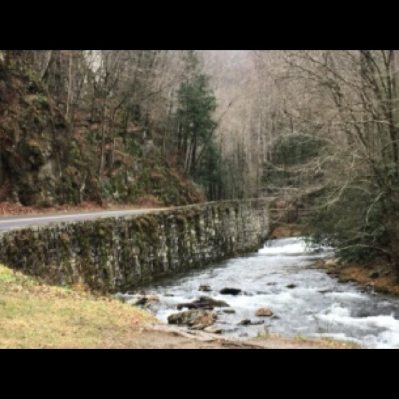 Profile Picture of Reese Sanner (@reesekat_san15) on Poshmark