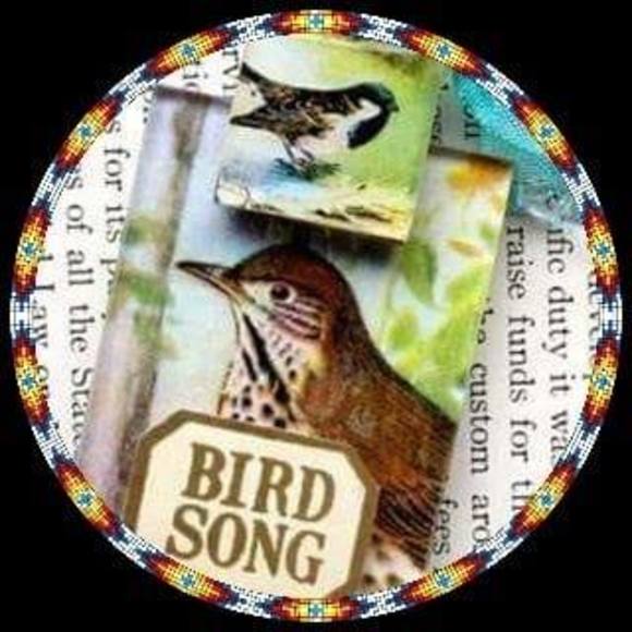 Profile Picture of Lynne Birdsong (@gakin17) on Poshmark