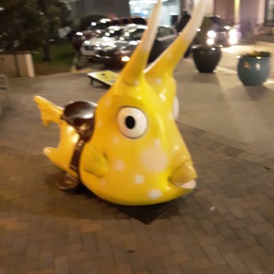 Johnny Guando - Twitter Profile Picture of Johnny Guando (@GuandoJohnny) on Twitter