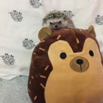 Profile Picture of Ava Marks (@chewy_winter_marks) on Instagram