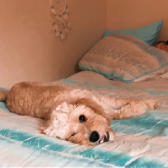 Profile Picture of Elyssa Purss (@elyssa_p247) on Poshmark