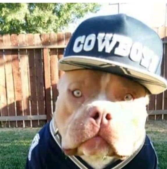 Profile Picture of Roy Conner (@roymike38) on Poshmark