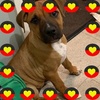 Profile Picture of Cherie Robertson (@@cherierobertson0) on Tiktok