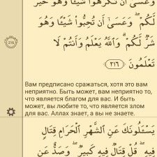 Moustafa El MASRI - Twitter Profile Picture of Moustafa El MASRI (@masri_kamal) on Twitter