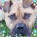 Profile Picture of Michael Baron (@michael.baron.5851) on Facebook