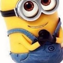 Profile Picture of Everything AMAZING (@amandafaure) on Pinterest