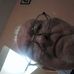 Profile Picture of Bill Patching (@bill.patching.5) on Facebook
