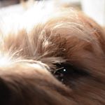 Profile Picture of Lily Larsen (@llarsen_photography) on Instagram