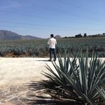 Profile Picture of Joseph Antony Plascencia Ponce (@josephantonyplascenciaponce) on Instagram