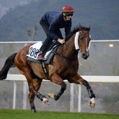 Profile Picture of Romain Clavreul (@romain_chris) on Twitter