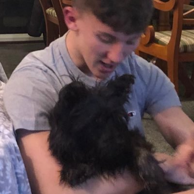 Profile Picture of Tom Murray (@im_tommurray) on Twitter