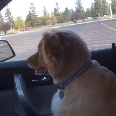 Profile Picture of Bob (@bob_studer) on Twitter