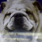 Profile Picture of Elliot Kevin Bercher (@reglisse.colorado) on Facebook