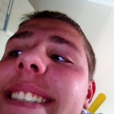 Profile Picture of Nipper (@HartzellMark) on Twitter