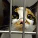 Profile Picture of Connie Hammes (@chammes0286) on Pinterest