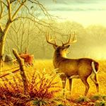 Profile Picture of Hayden Sampson (@international_harvester_1) on Instagram