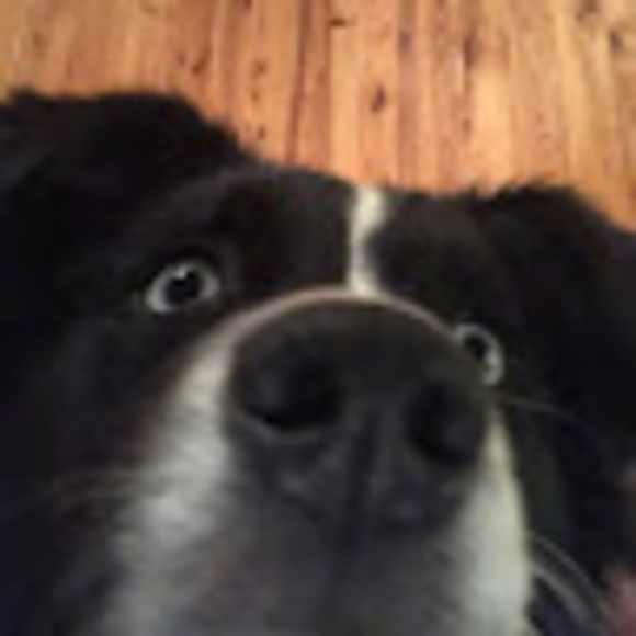 Profile Picture of Isabella Aimonetti (@iaimonetti) on Poshmark