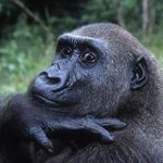 Profile Picture of paul ostrof (@pabi347) on Instagram