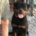 Profile Picture of Adrian Roberto Brodaric (@adrianrobertob) on Pinterest