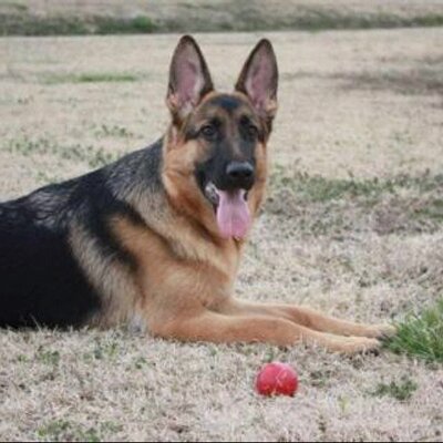 Profile Picture of Heath Weaver (@usafthw) on Twitter