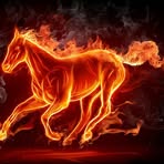 Profile Picture of Elissa McGee (@elissa.mcgee.3) on Facebook