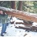 Profile Picture of Howard Pollack (@howard.pollack.90) on Facebook