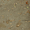 Profile Picture of bill rix (@bill rix) on Flickr
