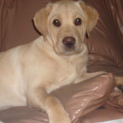 Sylvia Allan - Twitter Profile Picture of Sylvia Allan (@Sylvia_1973) on Twitter